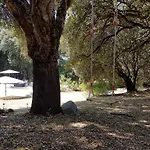 San Austinu *