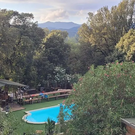 Holiday home San Austinu Petreto-Bicchisano