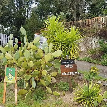 San Austinu 펜션