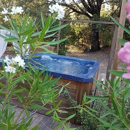 Holiday home San Austinu