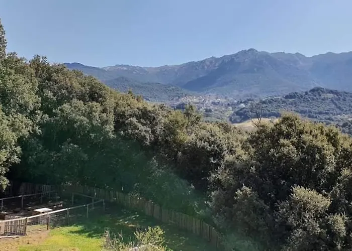 San Austinu Petreto-Bicchisano