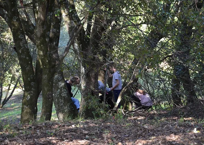 San Austinu Petreto-Bicchisano