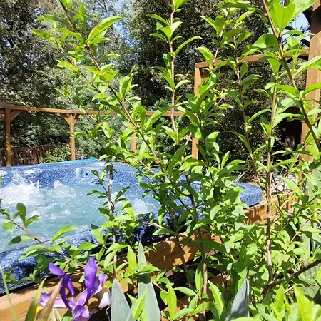 Semesterbostad San Austinu