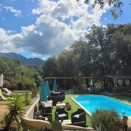 度假居 San Austinu Petreto-Bicchisano