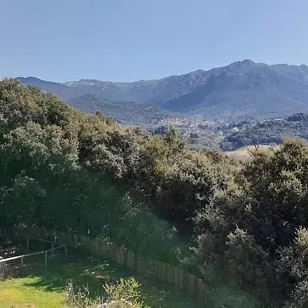 San Austinu Petreto-Bicchisano