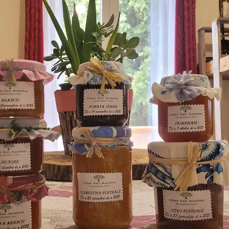 Semesterbostad San Austinu