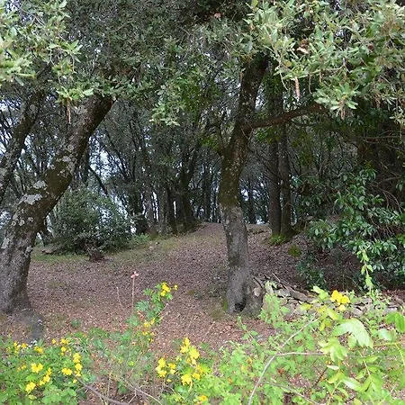 San Austinu * Petreto-Bicchisano