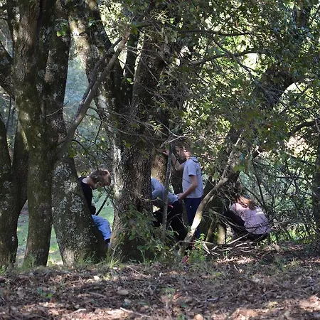 San Austinu Petreto-Bicchisano