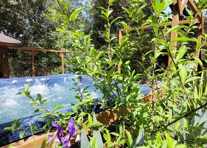 Prázdninový dům San Austinu