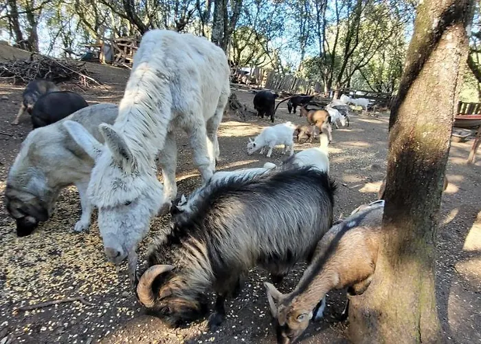 San Austinu Prázdninový dům *