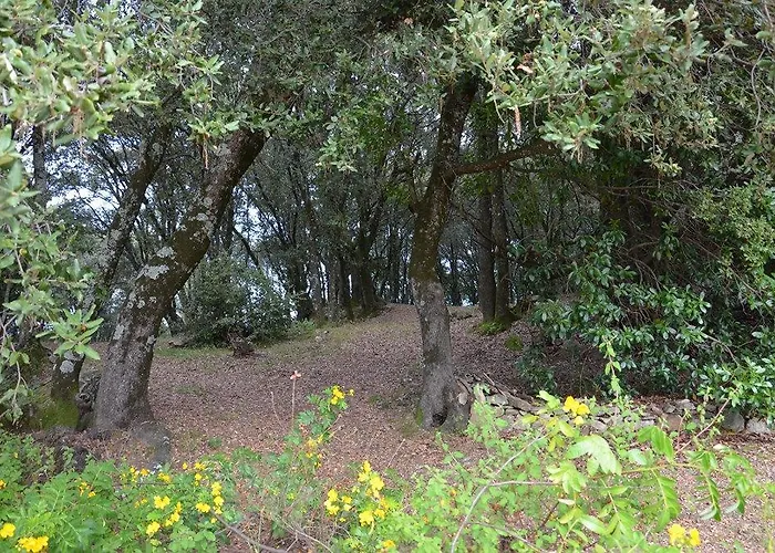 San Austinu * Petreto-Bicchisano